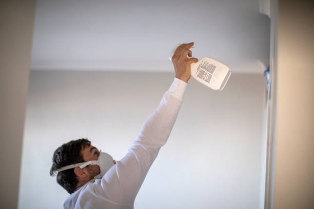 Best Office Mold Removal Services  in Des Plaines, IL