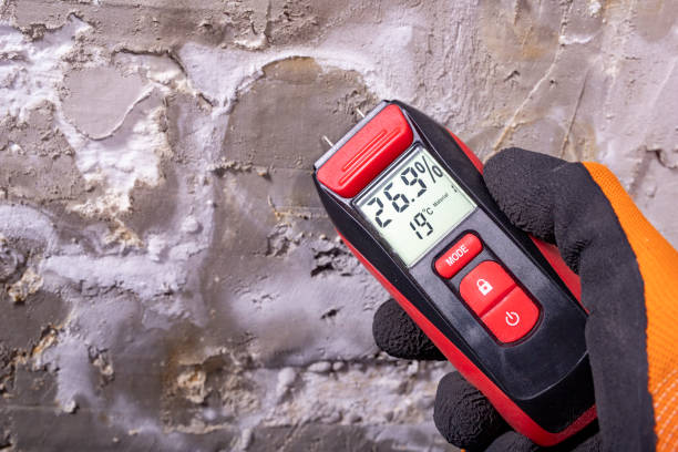 Best Certified Mold Removal  in Des Plaines, IL